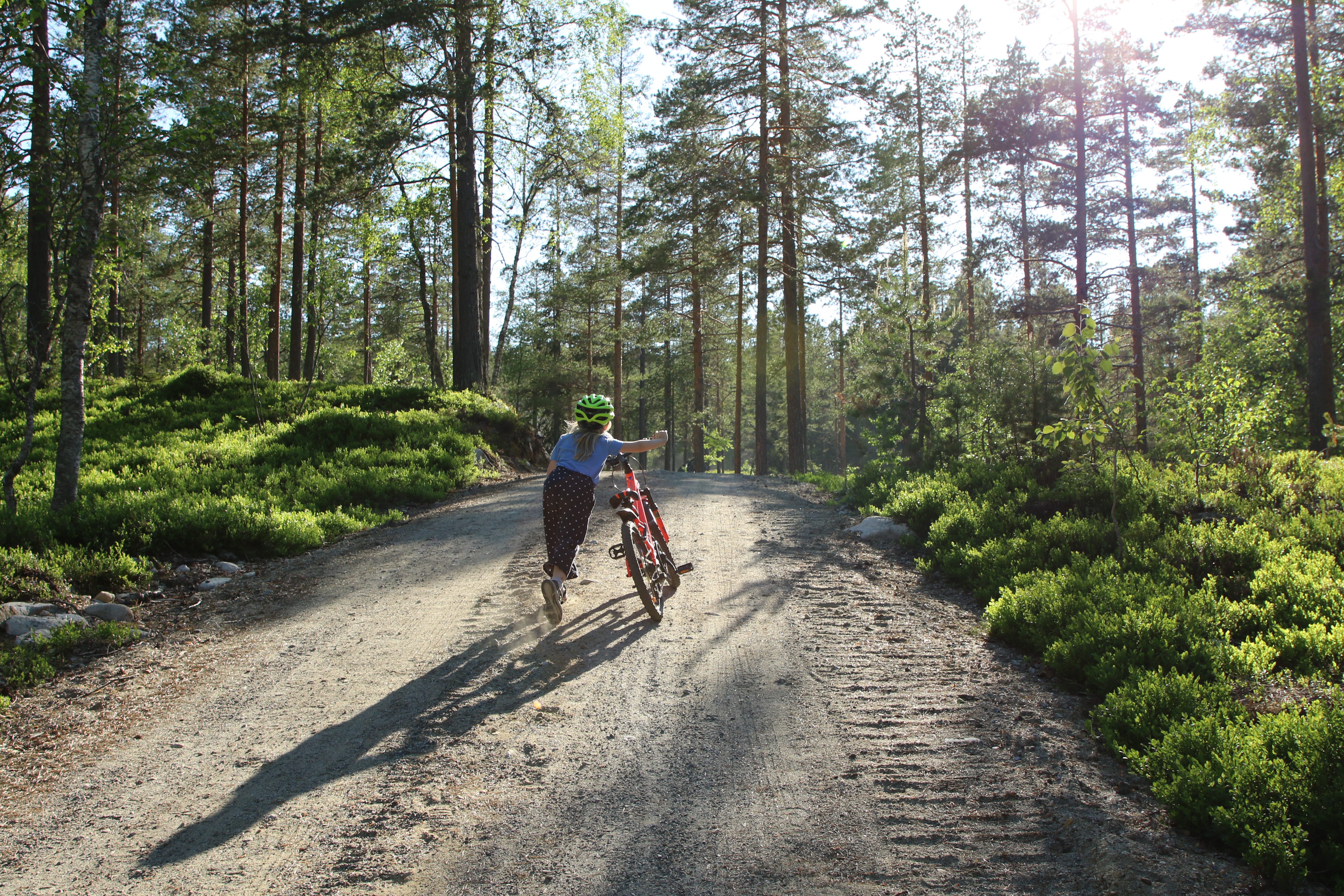 Fosstoppvaldres Foto Runarlarsen 9942